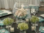 budget-wedding-decore16-reception-centerpiece-seashells-beach-theme